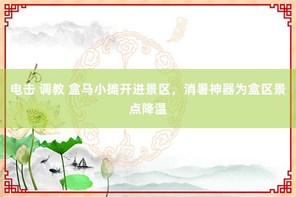 电击 调教 盒马小摊开进景区，消暑神器为盒区景点降温