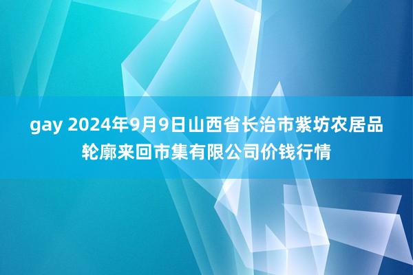 gay 2024年9月9日山西省长治市紫坊农居品轮廓来回市集有限公司价钱行情