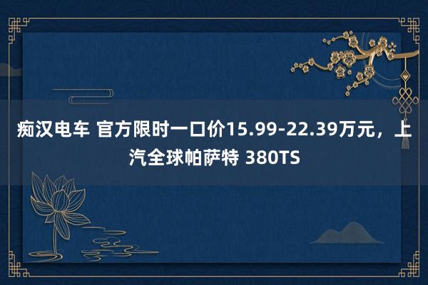 痴汉电车 官方限时一口价15.99-22.39万元，上汽全球帕萨特 380TS