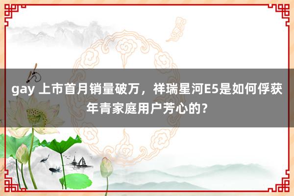 gay 上市首月销量破万，祥瑞星河E5是如何俘获年青家庭用户芳心的？