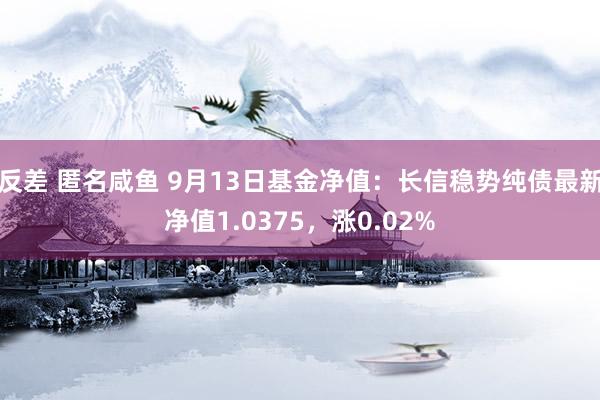 反差 匿名咸鱼 9月13日基金净值：长信稳势纯债最新净值1.0375，涨0.02%