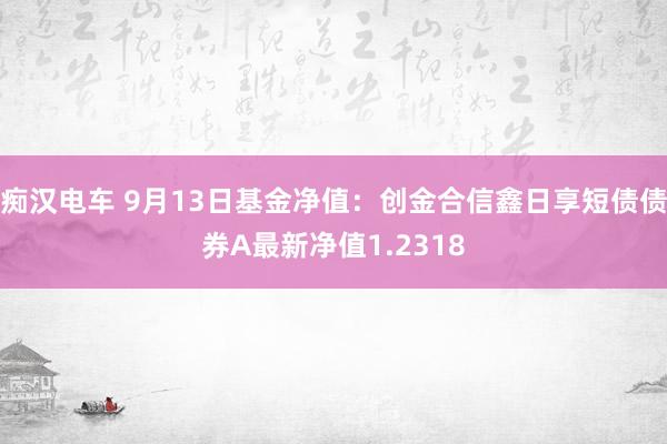 痴汉电车 9月13日基金净值：创金合信鑫日享短债债券A最新净值1.2318