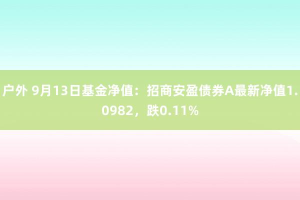 户外 9月13日基金净值：招商安盈债券A最新净值1.0982，跌0.11%