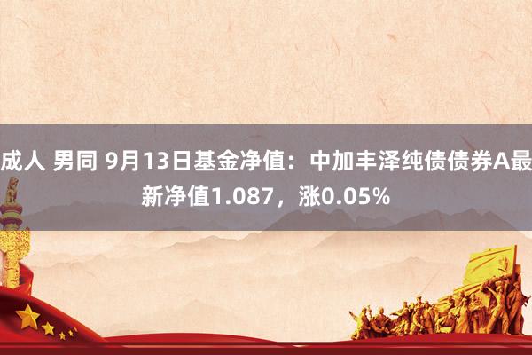 成人 男同 9月13日基金净值：中加丰泽纯债债券A最新净值1.087，涨0.05%