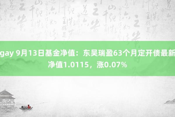 gay 9月13日基金净值：东吴瑞盈63个月定开债最新净值1.0115，涨0.07%