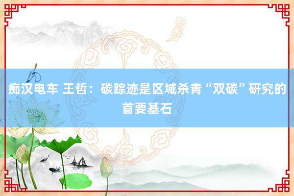 痴汉电车 王哲：碳踪迹是区域杀青“双碳”研究的首要基石