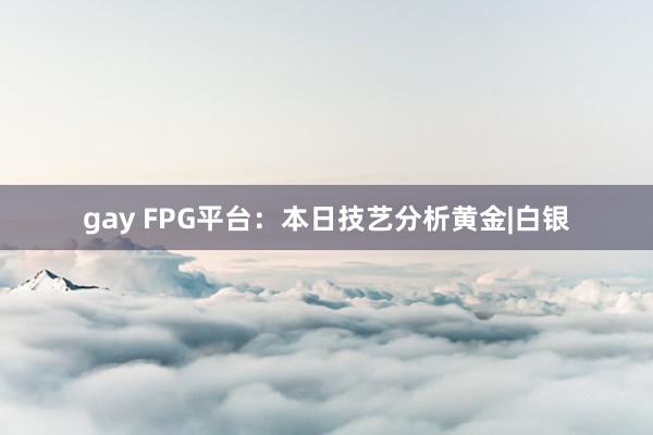 gay FPG平台：本日技艺分析黄金|白银