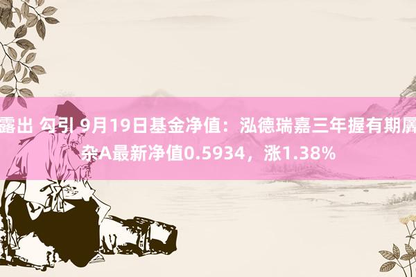 露出 勾引 9月19日基金净值：泓德瑞嘉三年握有期羼杂A最新净值0.5934，涨1.38%