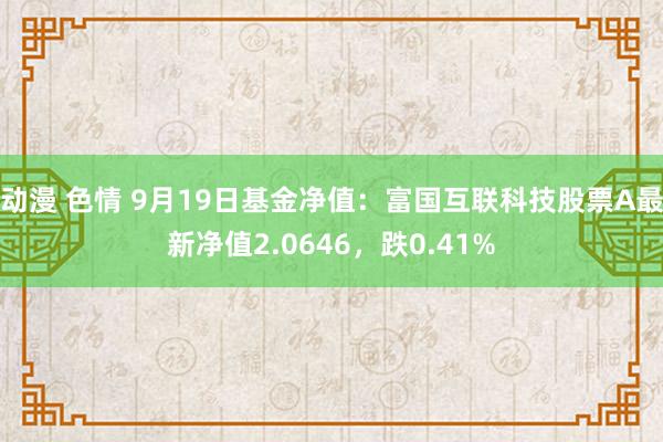 动漫 色情 9月19日基金净值：富国互联科技股票A最新净值2.0646，跌0.41%