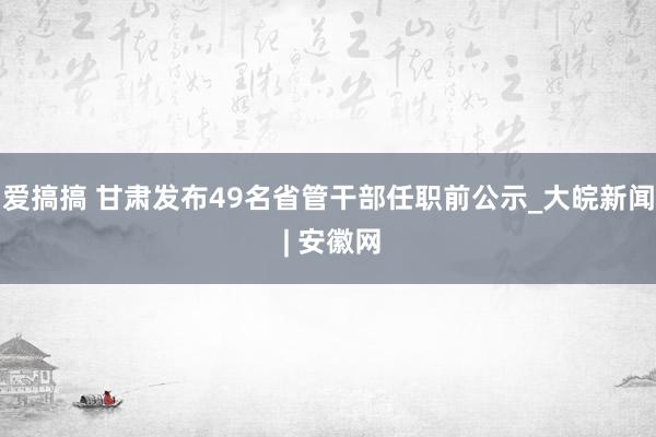 爱搞搞 甘肃发布49名省管干部任职前公示_大皖新闻 | 安徽网