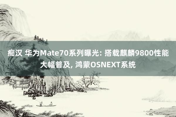 痴汉 华为Mate70系列曝光: 搭载麒麟9800性能大幅普及， 鸿蒙OSNEXT系统