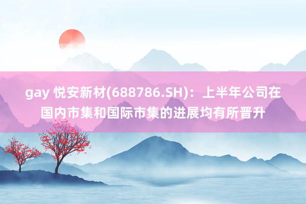 gay 悦安新材(688786.SH)：上半年公司在国内市集和国际市集的进展均有所晋升