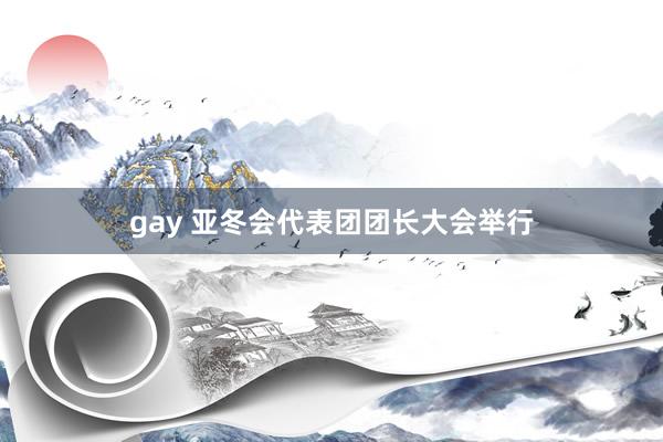 gay 亚冬会代表团团长大会举行