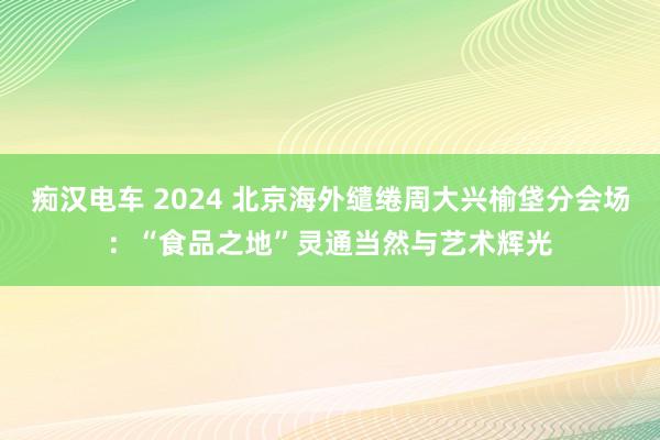 痴汉电车 2024 北京海外缱绻周大兴榆垡分会场：“食品之地”灵通当然与艺术辉光