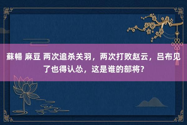 蘇暢 麻豆 两次追杀关羽，两次打败赵云，吕布见了也得认怂，这是谁的部将？