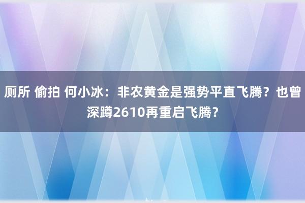 厕所 偷拍 何小冰：非农黄金是强势平直飞腾？也曾深蹲2610再重启飞腾？