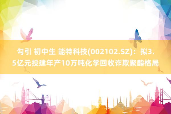 勾引 初中生 能特科技(002102.SZ)：拟3.5亿元投建年产10万吨化学回收诈欺聚酯格局