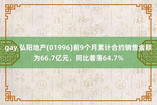 gay 弘阳地产(01996)前9个月累计合约销售金额为66.7亿元，同比着落64.7%