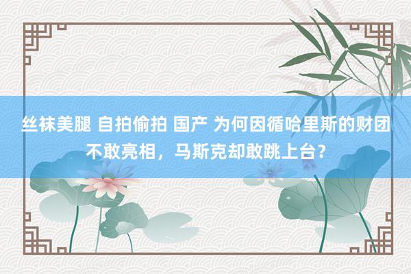 丝袜美腿 自拍偷拍 国产 为何因循哈里斯的财团不敢亮相，马斯克却敢跳上台？