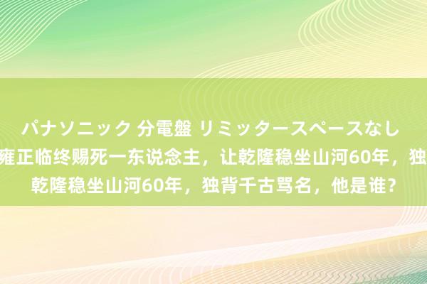 パナソニック 分電盤 リミッタースペースなし 露出・半埋込両用形 雍正临终赐死一东说念主，让乾隆稳坐山河60年，独背千古骂名，他是谁？