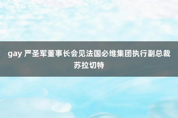 gay 严圣军董事长会见法国必维集团执行副总裁苏拉切特