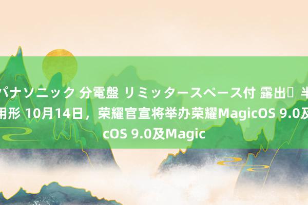 パナソニック 分電盤 リミッタースペース付 露出・半埋込両用形 10月14日，荣耀官宣将举办荣耀MagicOS 9.0及Magic