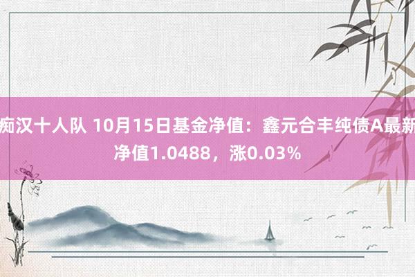 痴汉十人队 10月15日基金净值：鑫元合丰纯债A最新净值1.0488，涨0.03%