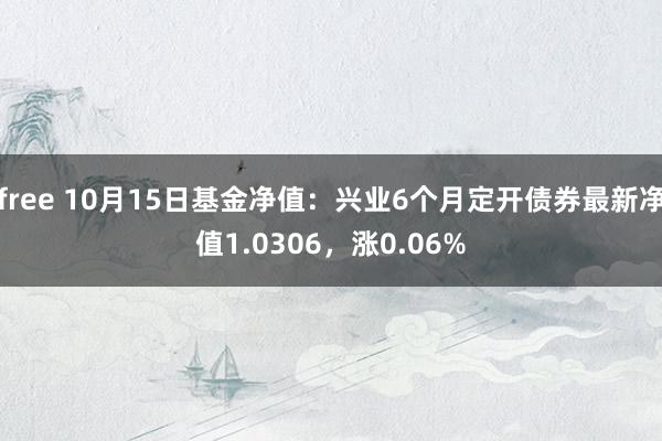 free 10月15日基金净值：兴业6个月定开债券最新净值1.0306，涨0.06%