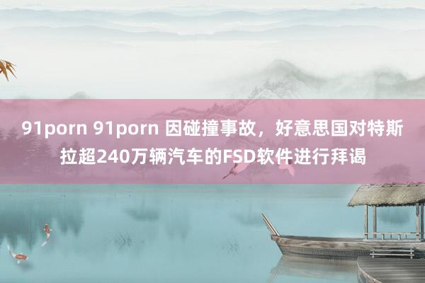 91porn 91porn 因碰撞事故，好意思国对特斯拉超240万辆汽车的FSD软件进行拜谒