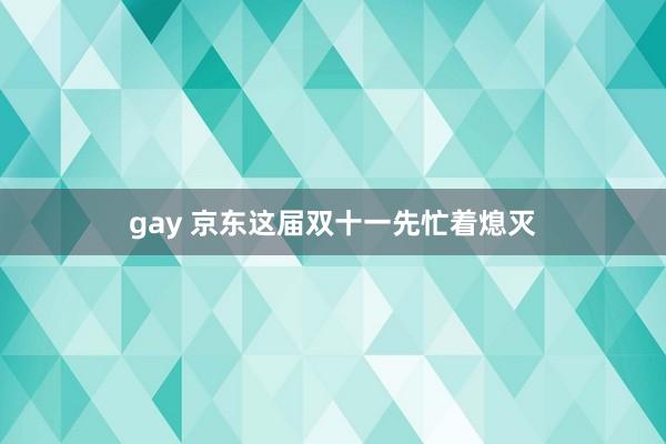 gay 京东这届双十一先忙着熄灭