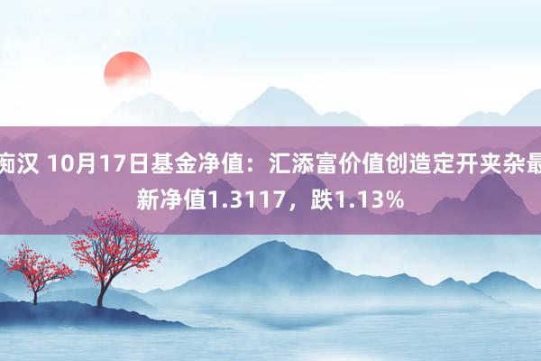 痴汉 10月17日基金净值：汇添富价值创造定开夹杂最新净值1.3117，跌1.13%