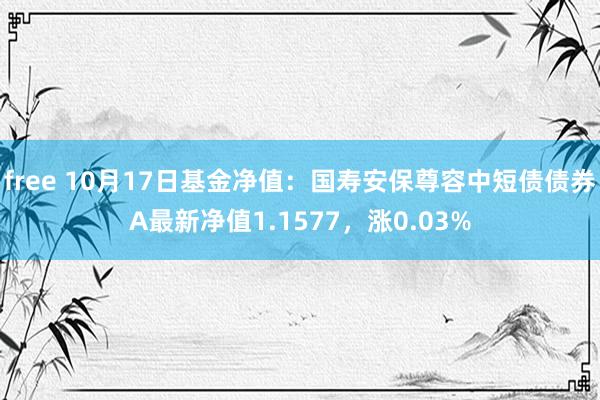 free 10月17日基金净值：国寿安保尊容中短债债券A最新净值1.1577，涨0.03%