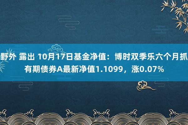 野外 露出 10月17日基金净值：博时双季乐六个月抓有期债券A最新净值1.1099，涨0.07%