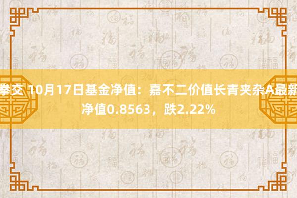 拳交 10月17日基金净值：嘉不二价值长青夹杂A最新净值0.8563，跌2.22%