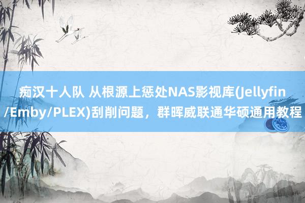 痴汉十人队 从根源上惩处NAS影视库(Jellyfin/Emby/PLEX)刮削问题，群晖威联通华硕通用教程