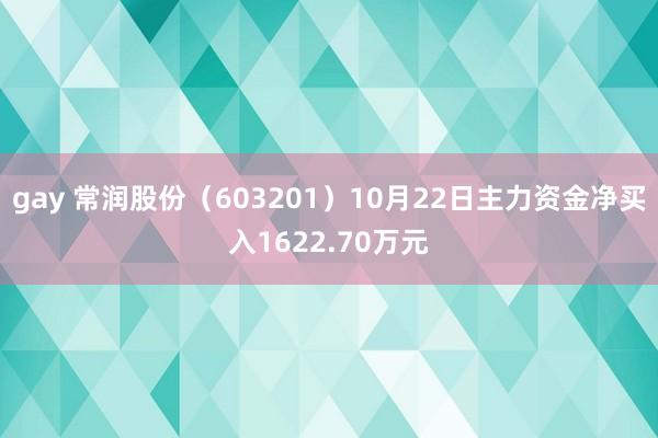 gay 常润股份（603201）10月22日主力资金净买入1622.70万元