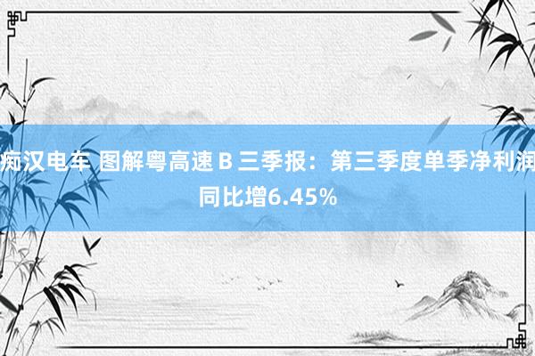 痴汉电车 图解粤高速Ｂ三季报：第三季度单季净利润同比增6.45%