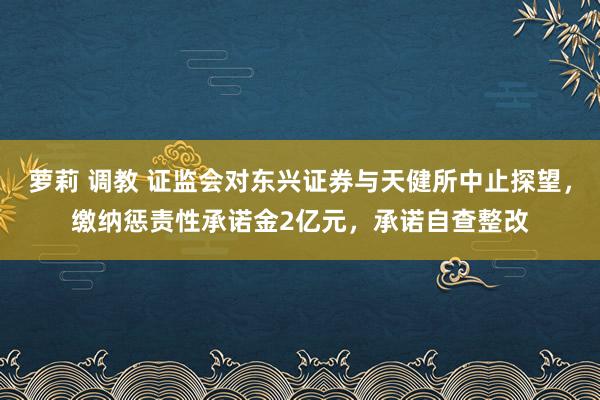 萝莉 调教 证监会对东兴证券与天健所中止探望，缴纳惩责性承诺金2亿元，承诺自查整改