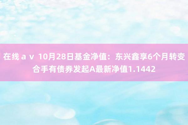 在线ａｖ 10月28日基金净值：东兴鑫享6个月转变合手有债券发起A最新净值1.1442