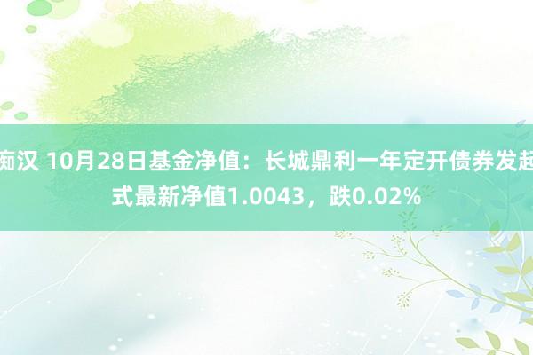 痴汉 10月28日基金净值：长城鼎利一年定开债券发起式最新净值1.0043，跌0.02%