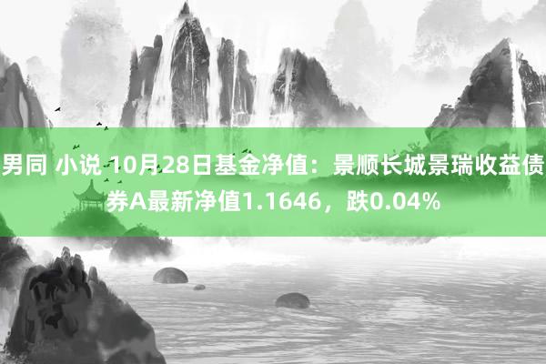 男同 小说 10月28日基金净值：景顺长城景瑞收益债券A最新净值1.1646，跌0.04%