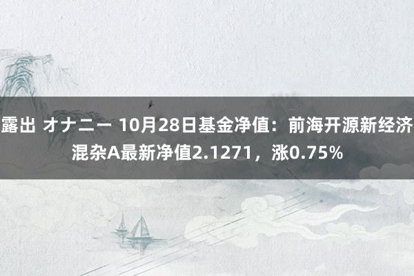 露出 オナニー 10月28日基金净值：前海开源新经济混杂A最新净值2.1271，涨0.75%