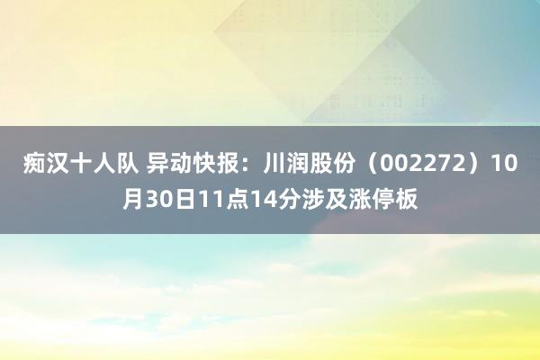 痴汉十人队 异动快报：川润股份（002272）10月30日11点14分涉及涨停板