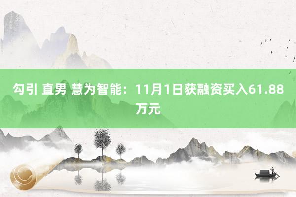 勾引 直男 慧为智能：11月1日获融资买入61.88万元