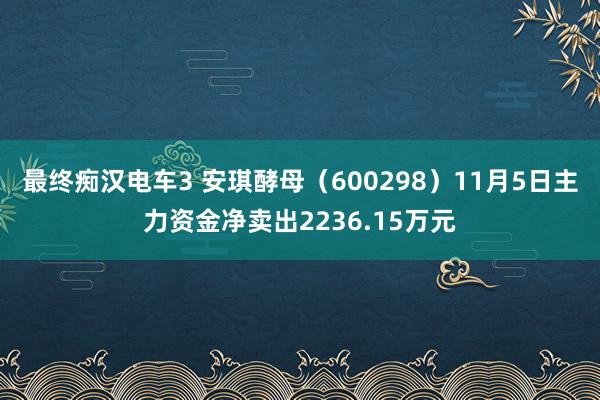 最终痴汉电车3 安琪酵母（600298）11月5日主力资金净卖出2236.15万元