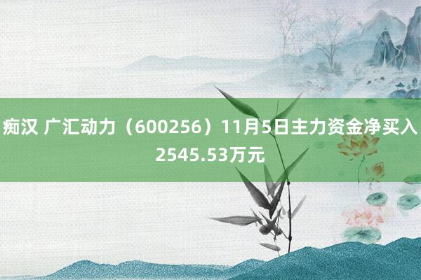 痴汉 广汇动力（600256）11月5日主力资金净买入2545.53万元