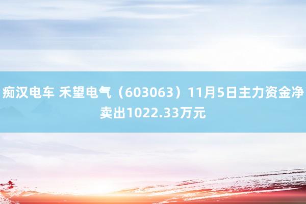 痴汉电车 禾望电气（603063）11月5日主力资金净卖出1022.33万元