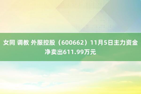 女同 调教 外服控股（600662）11月5日主力资金净卖出611.99万元