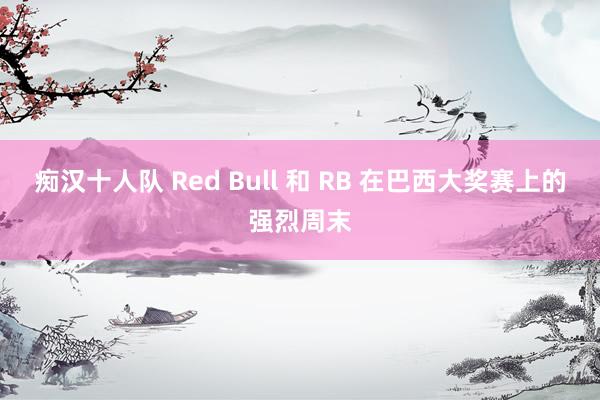 痴汉十人队 Red Bull 和 RB 在巴西大奖赛上的强烈周末