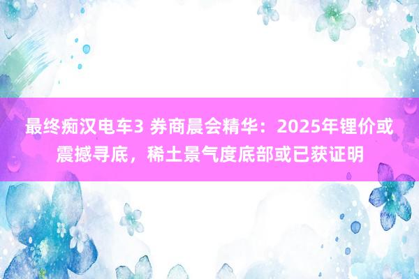 最终痴汉电车3 券商晨会精华：2025年锂价或震撼寻底，稀土景气度底部或已获证明